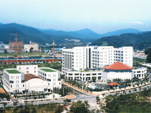 샘플 이미지